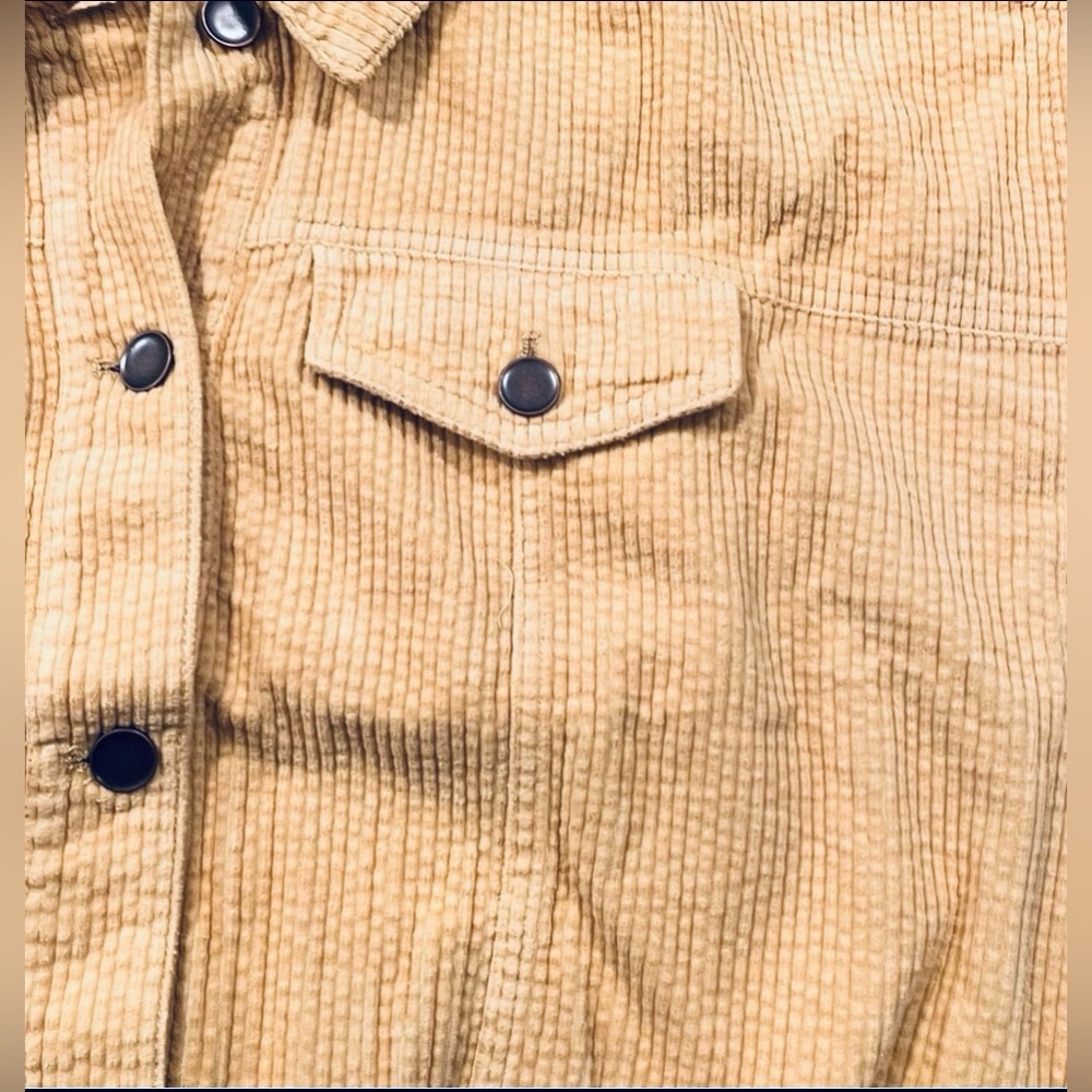 NWT Band Of Gypsies Other Side Corduroy Jacket - Picture 11 of 14